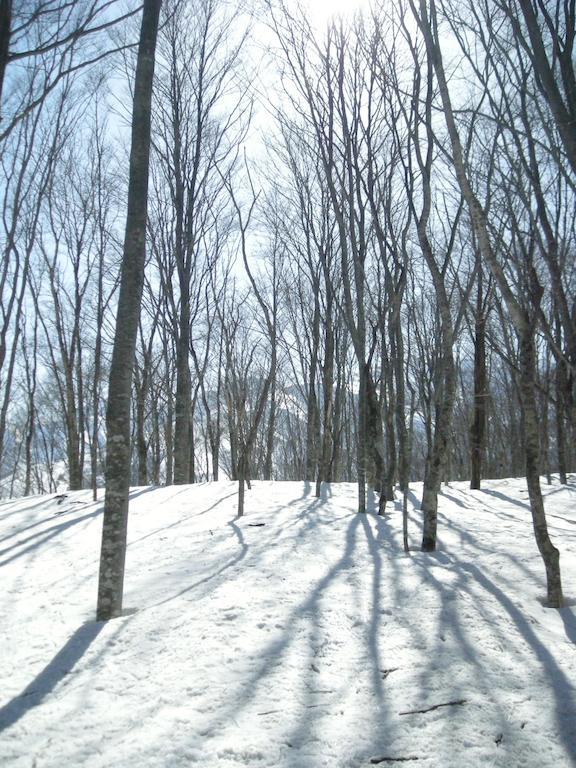 Villa Komakusa Hakuba Dış mekan fotoğraf
